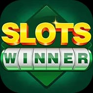 Slots Winner Icon